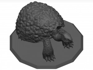 Tortoise 3D Модель