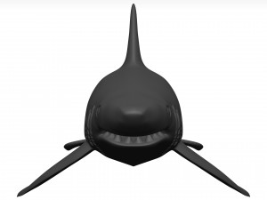 White shark Model 3D