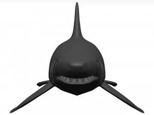 White shark 3D Model