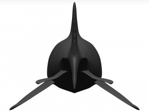 White shark Model 3D