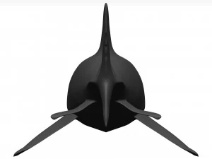 White shark 3D Model