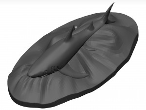 White shark Model 3D