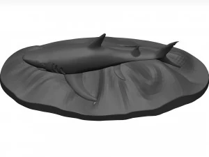 White shark 3D Model