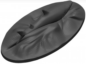 White shark Model 3D