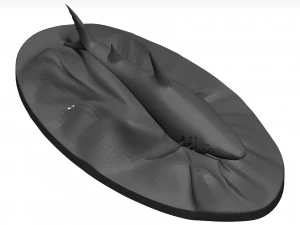 White shark 3D Model