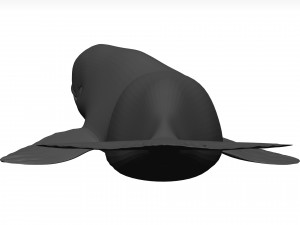 Whale 3D Model