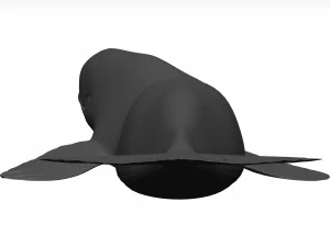 Whale 3D Model