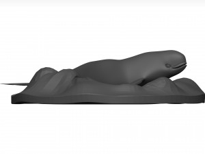 Whale 3D Model