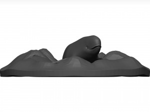 Whale 3D Model