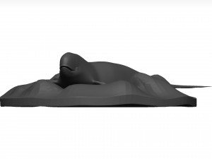 Whale 3D Model