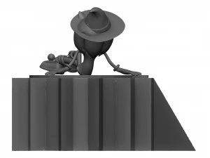 Sonic package 3D Model