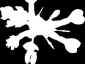 дорожный бегун 3D Модель