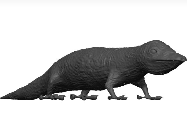 Gecko 3D Model .c4d .max .obj .3ds .fbx .stl .blend 