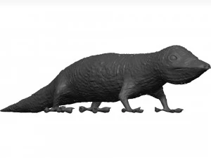 ヤモリ 3Dモデル