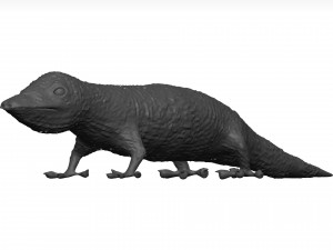 Gecko 3D Model