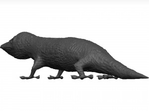 Gecko 3D Model