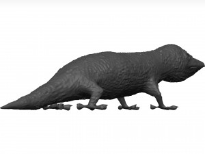 Gecko 3D Model