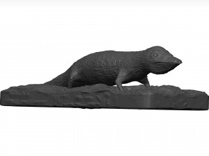 Gecko 3D Model