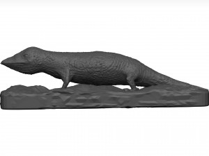 Gecko 3D Model