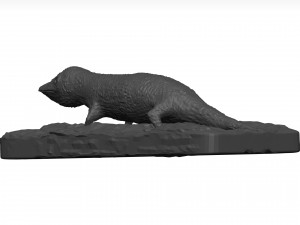Gecko 3D Model