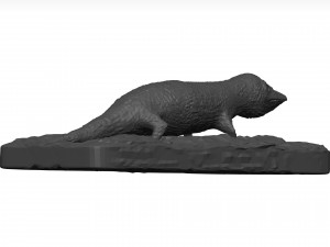 Gecko 3D Model