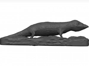 Gecko 3D Model