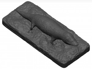 Gecko 3D Model
