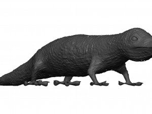 Gecko 3D Model
