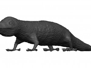 Gecko 3D Model