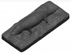 Gecko 3D Model