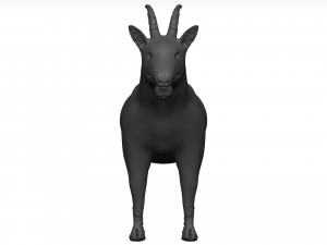 Goat 3D मॉडल