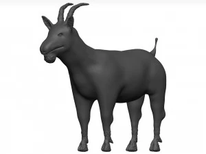 Goat 3D Model