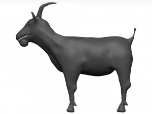 Goat 3D Model
