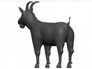 Goat 3D Model
