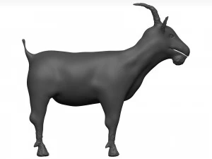 Goat 3D Model