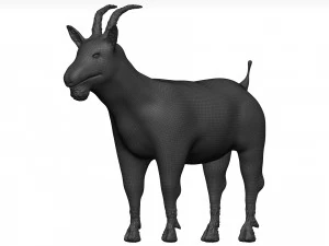 Goat 3D Model