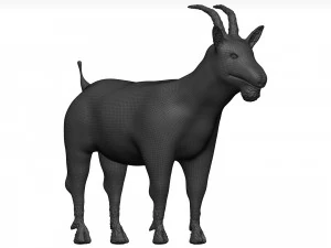 Goat 3D Model