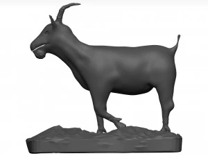 Goat 3D Model
