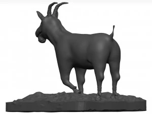 Goat 3D Model