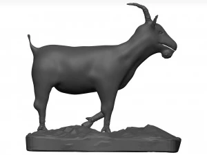 Goat 3D Model