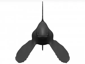 Goldfish 3D Model