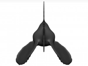 Goldfish 3D 模型