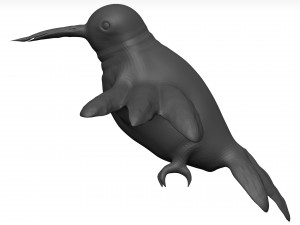 Humming bird 3D 模型