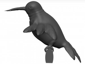 Humming bird 3D 模型