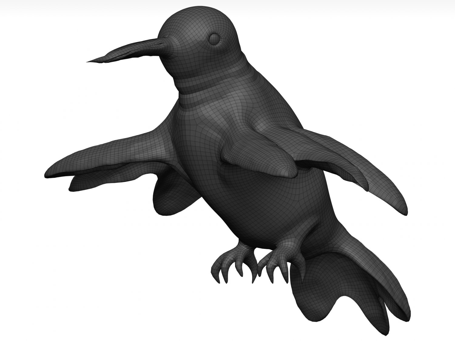 Bird 3d model