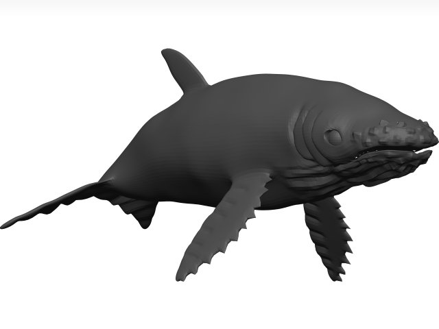 Humpback whale 3D Model .c4d .max .obj .3ds .fbx .stl .blend 