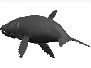 Humpback whale 3D Model