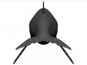 Humpback whale 3D Model