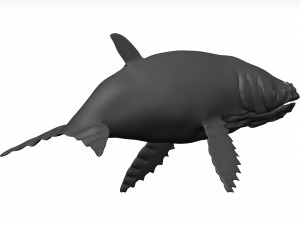 Humpback whale 3D Model