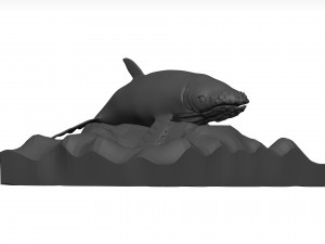 Humpback whale 3D Model